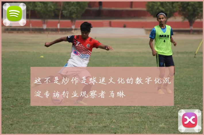 这不是炒作是球迷文化的数字化沉淀专访行业观察者马琳